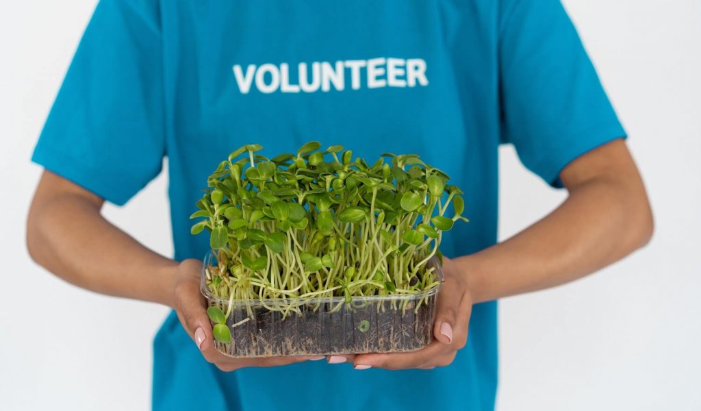 how to earn your volunteer hours